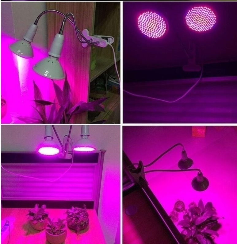 umjetno svjetlo za biljke