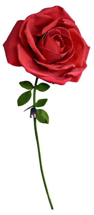 XXL ogromna ruža - Ruže kao poklon ženi
