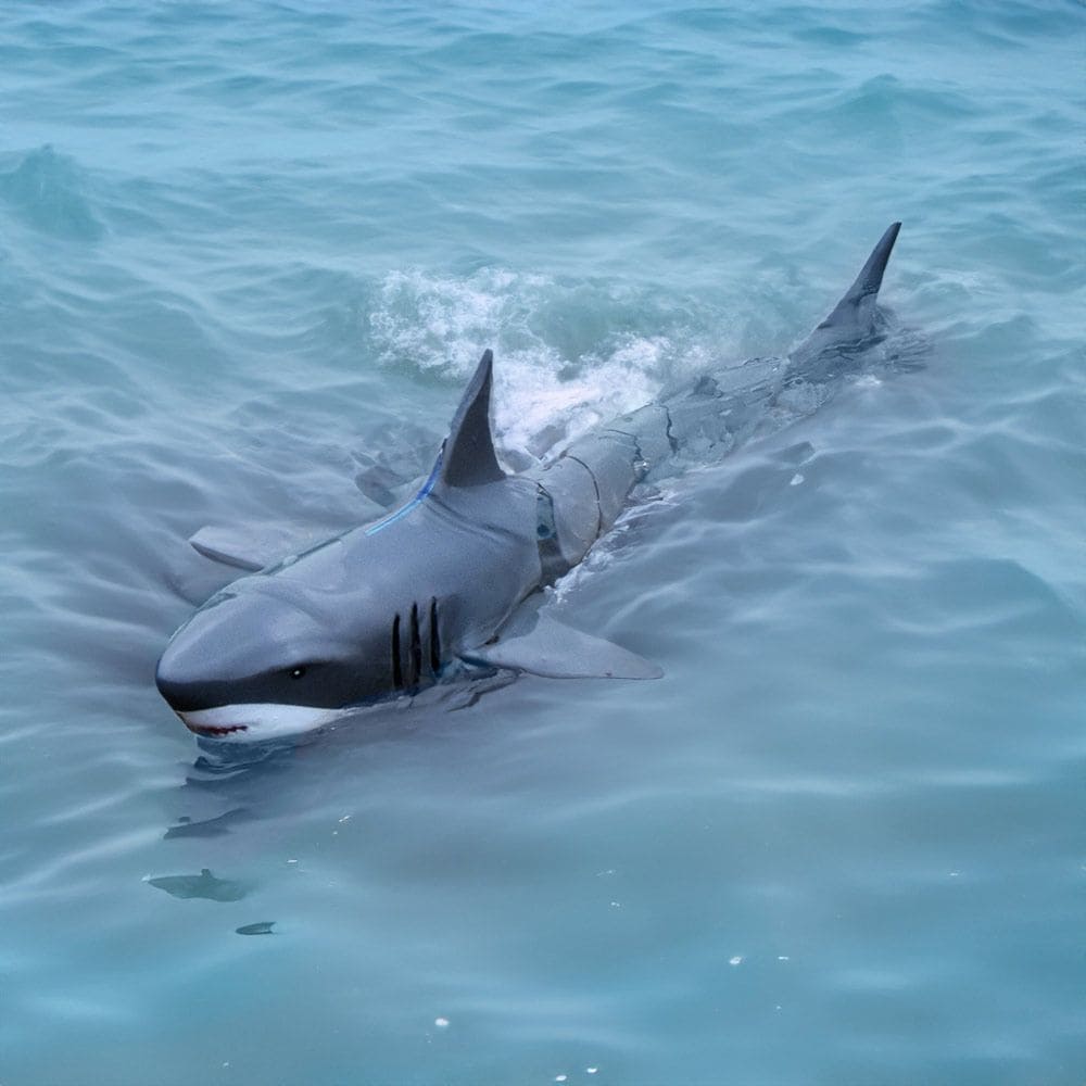 RC morski pas za daljinsko upravljanje u vodu s kontrolerom