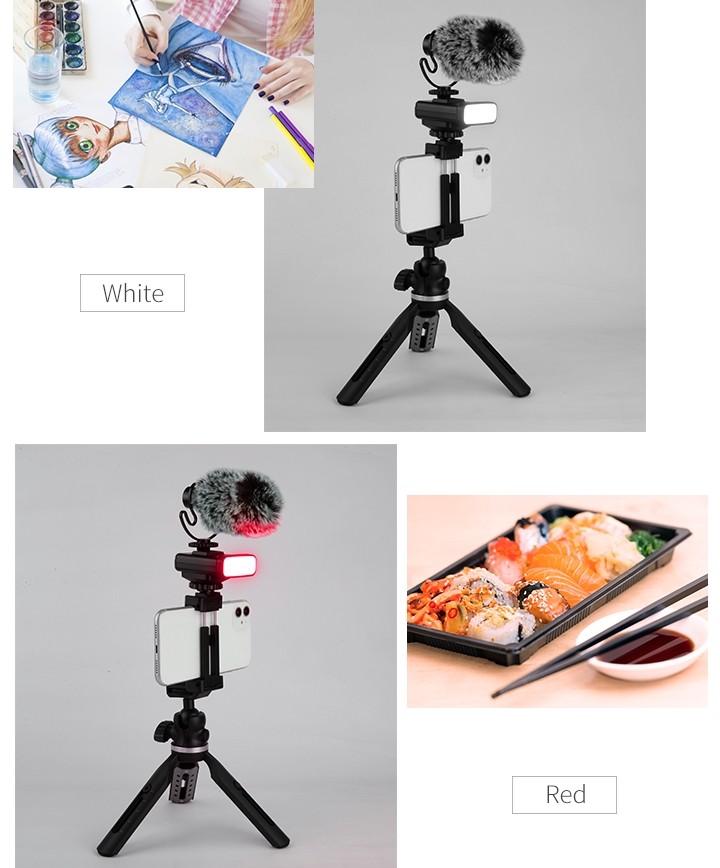 stativ za mobitel (držač za selfie) + mikrofon i svjetlo