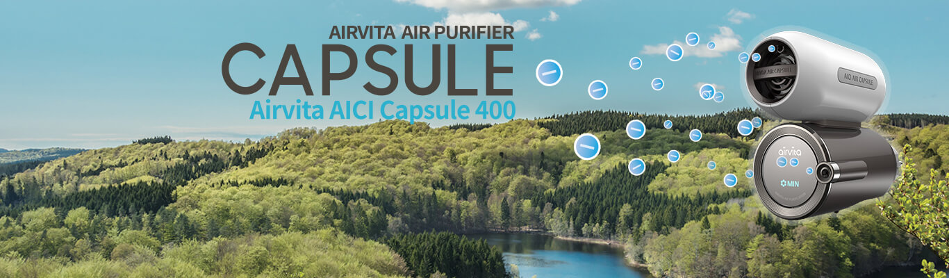Airvita Air Capsula Air Ionizer