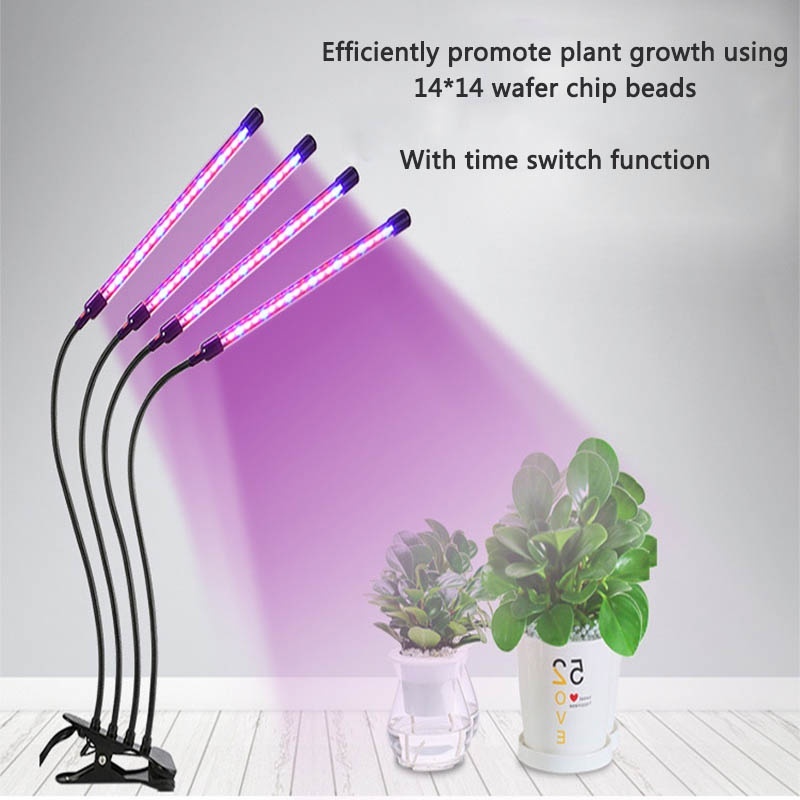svjetiljka od gusje grla za biljke rastu