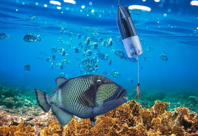 kamera za podvodnu ribu