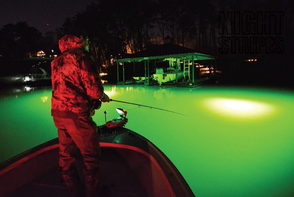 riblje svijetlozeleno - ribolovno zeleno led pod vodom