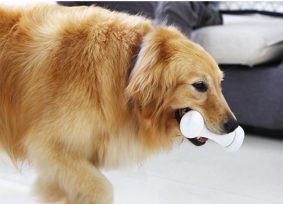 pametna kostna igračka za pse zle kosti
